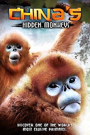 China's Golden Monkeys