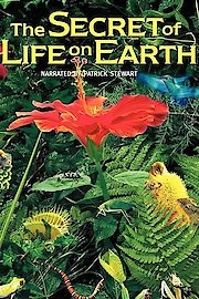 The Secret of Life on Earth