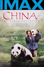 China: The Panda Adventure poster