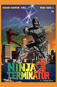 Ninja Terminator (Español)