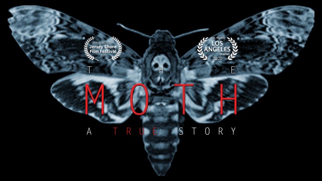 Watch The Moth Online