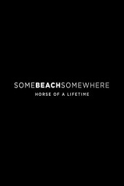Somebeachsomewhere: Horse of a Lifetime poster