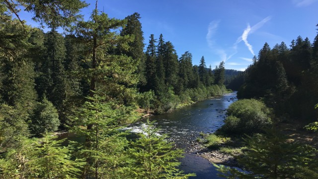 Watch Run Wild Run Free: 50 years of wild and scenic rivers Online