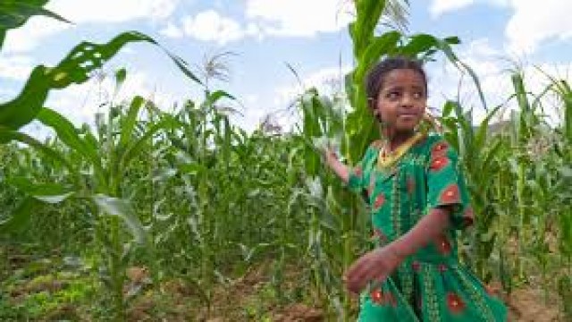 Watch Rick Steves Hunger and Hope: Lessons from Ethiopia and Guatemala Online