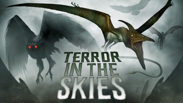 Watch Terror in the Skies Online