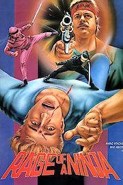 Rage of Ninja (Español)