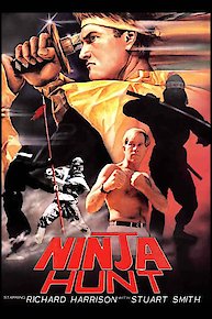 Ninja Hunt (Español)