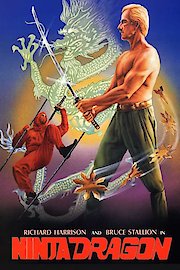 Ninja Dragon (Español)