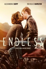Endless poster