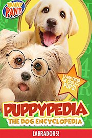 Puppy-Pedia the Dog Encyclopedia: Labradors poster