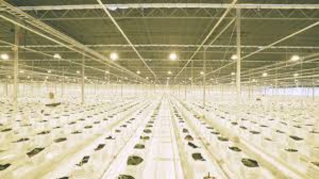 Watch Weed, Greed, and Legalization Online