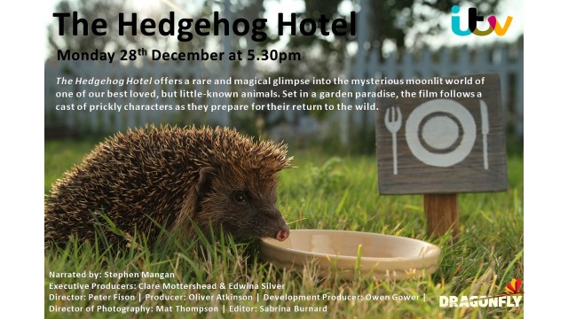 Watch Hedgehog Hotel Online
