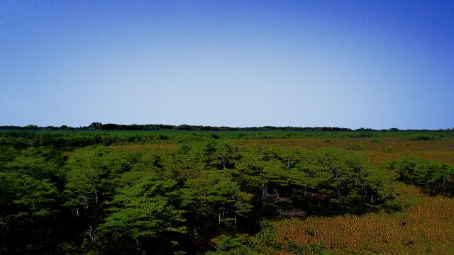 Watch The Everglades: Preserving Paradise Online