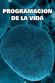 Programacion De La Vida poster