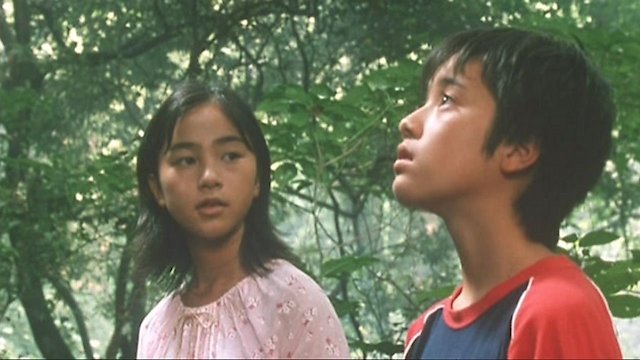 Watch Sennenbi Online