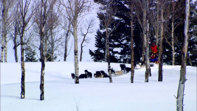 Watch Christmas and Winter in America's National Parks Online