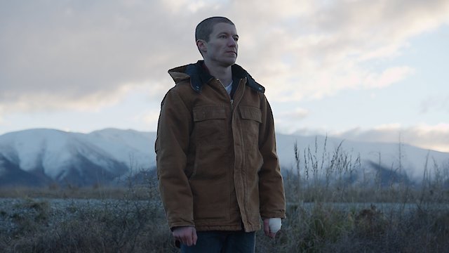 Watch Stray Online