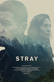 Stray poster