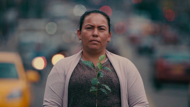 Watch Coffee Defenders: a Path from Coca to Coffee Online