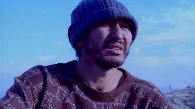 Watch Shiza Online