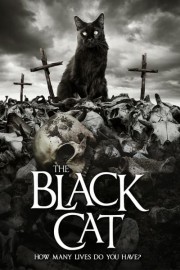 The Black Cat poster
