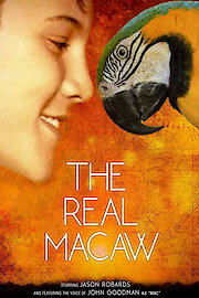 The Real Macaw poster
