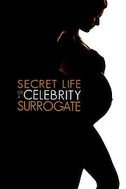 The Secret Life of a Celebrity Surrogate poster