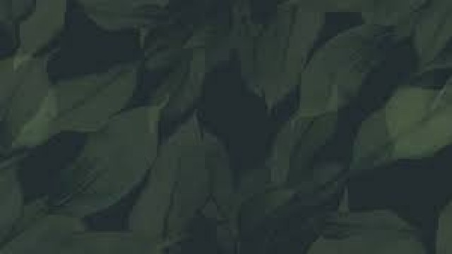 Watch Daddy's Girls: Re-Identified Online