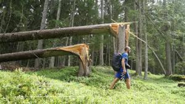 Watch Alpine Heritage Online