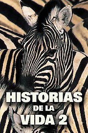 Historias De La Vida 2 poster