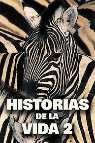 Historias De La Vida 2