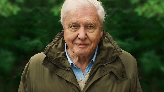 Watch David Attenborough: A Life On Our Planet Online
