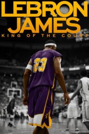 Lebron James: King of the Court poster