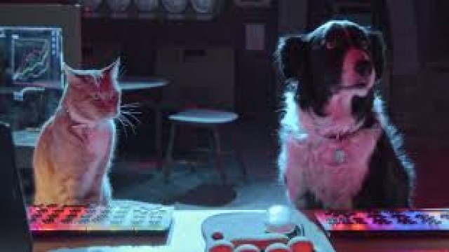 Watch Cats and Dogs 3: Paws Unite Online