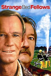 Strange Bedfellows poster