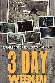 3 Day Weekend poster