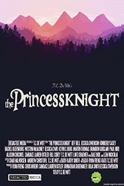The Princess Knight poster
