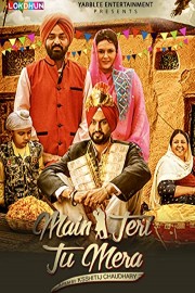 Main Teri Tu Mera poster