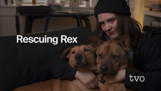 Watch Rescuing Rex Online