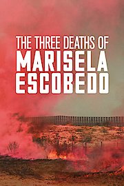 The Three Deaths of Marisela Escobedo poster