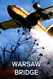 Warsaw Bridge poster