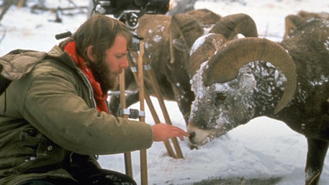 Watch Wild America: Marty's World Online