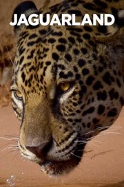 Jaguarland poster