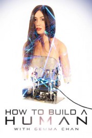 How To Build A Human poster