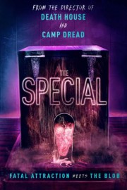 The Special poster
