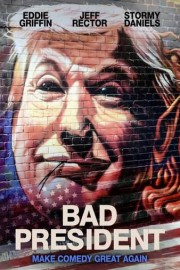 Bad President poster