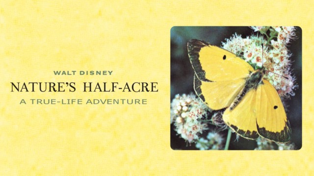 Watch Nature's Half Acre Online