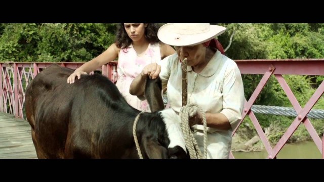 Watch Two Women and a Cow Online