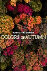 Colors of Autumn