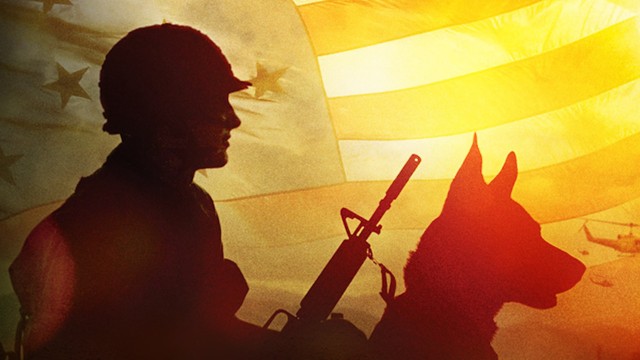 Watch Forgotten Heroes: The Robert Hartsock Story Online